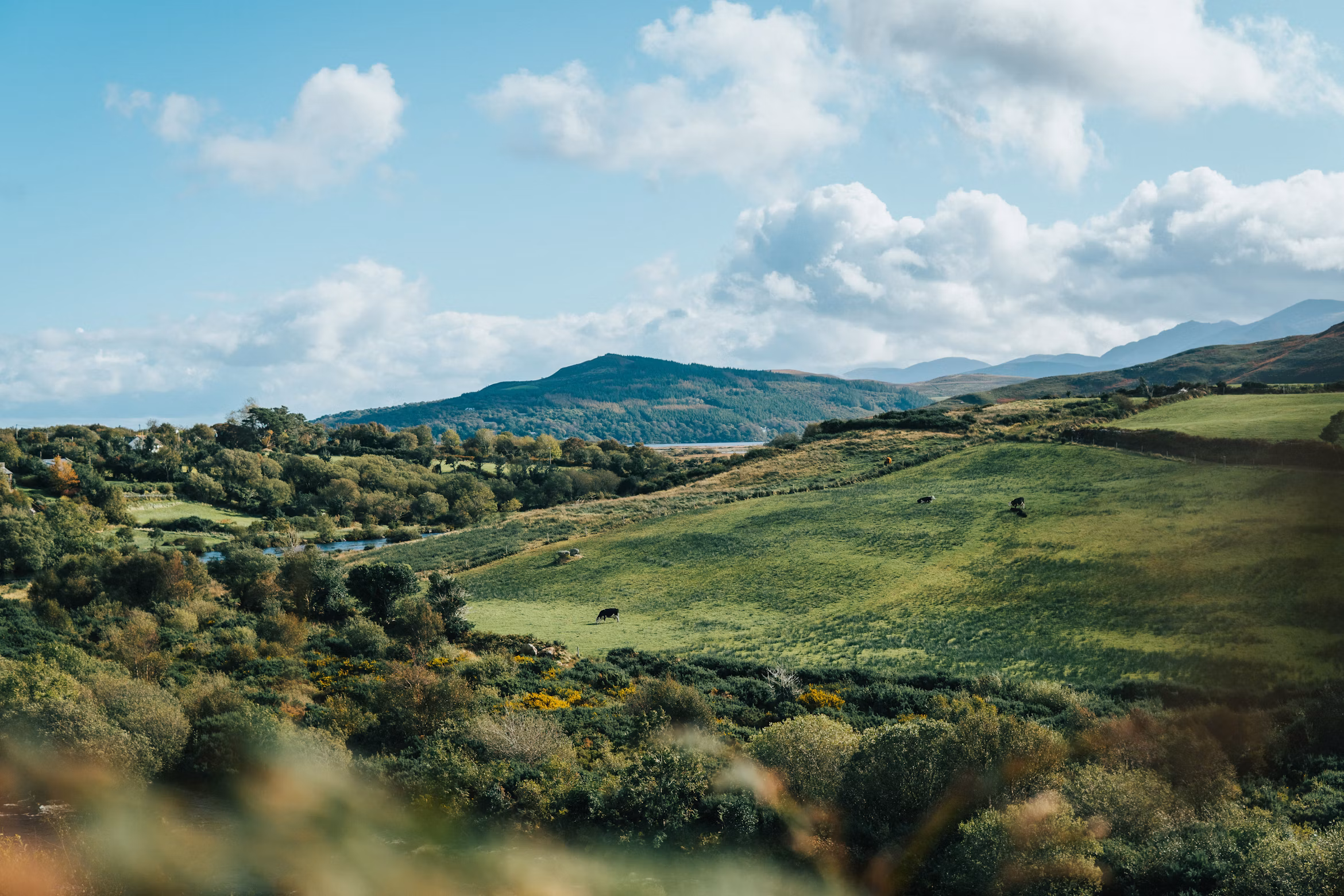 Ireland background